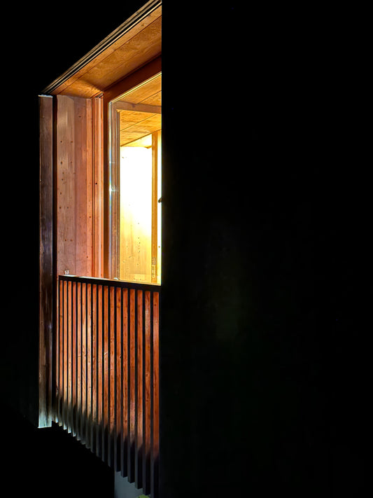 Le Voyeur  I  Schlieren/Zürich